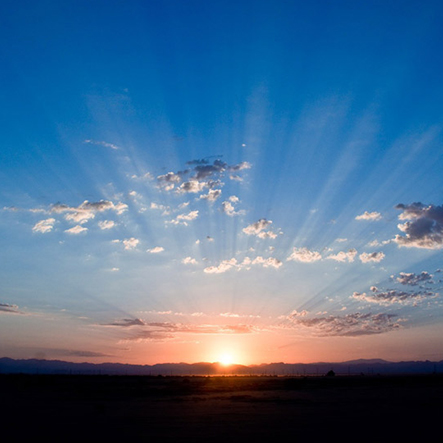 社員向け年頭所感（社内報より抜粋）